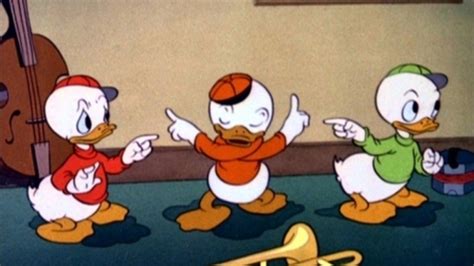 donald duck nephews